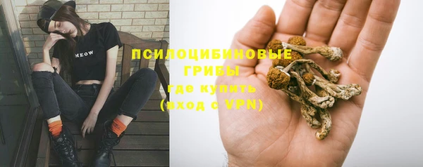 молекула духа Тихвин