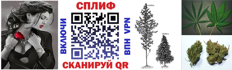 мориарти формула  Кунгур  Бошки Шишки план 